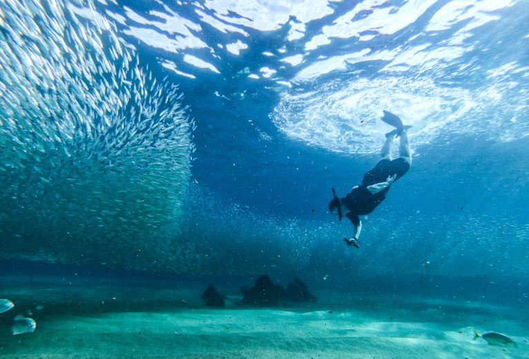 The top 3 snorkeling spots in Cabo